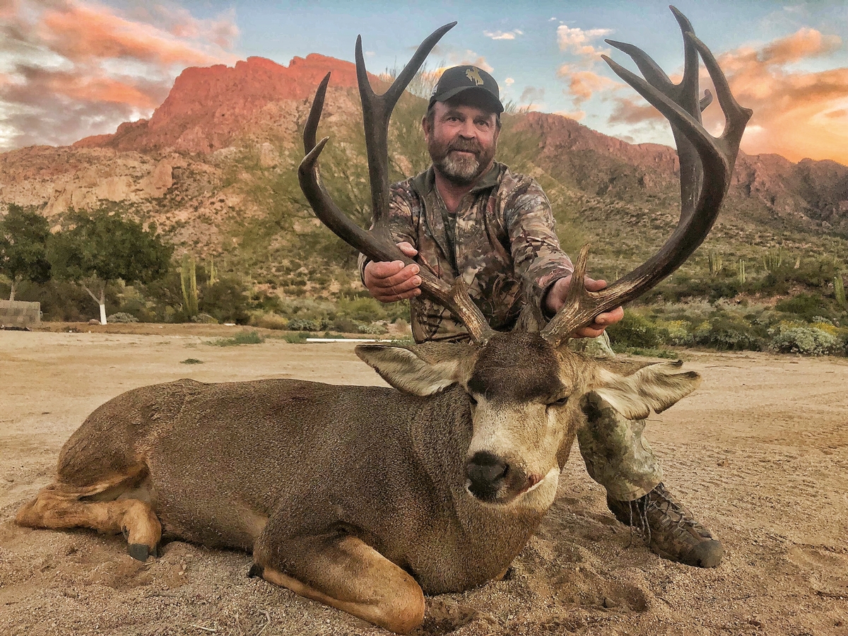Mule Deer hunts
